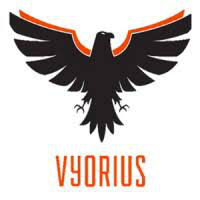 Vyorius Drones - Delhi